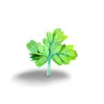 Mango Leaf Green (Set of 12 Pisces)