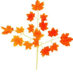 Artificial Leaves