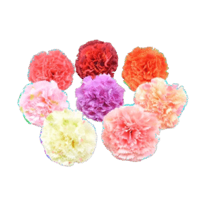 Artificial Flower