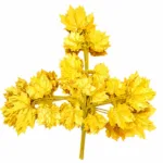 Premium Artificial Yellow Maple Leaf | Decoration Leaf Stick for Wedding, Event & Mandap Setup