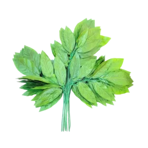 Premium Artificial Green Mango Leaf  for Decoration | Wedding, Event & Mandap Decor Setup (Pack of 12 Pcs)